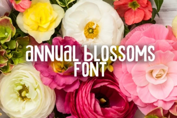 Annual Blossom: A Versatile Display Font for Campaign Creatives