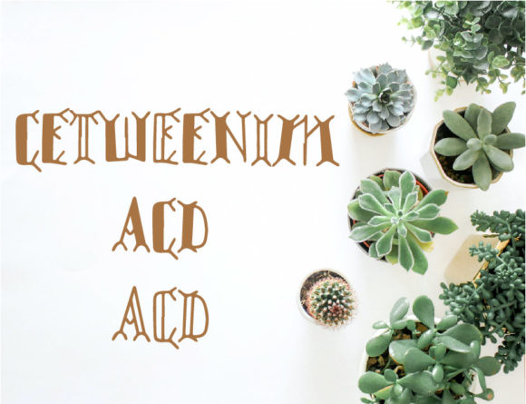 Cetweenim Font for Business Branding