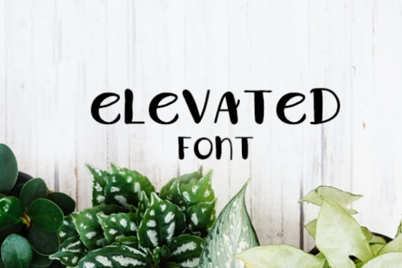 Elevated: A Playful Font for Business Branding