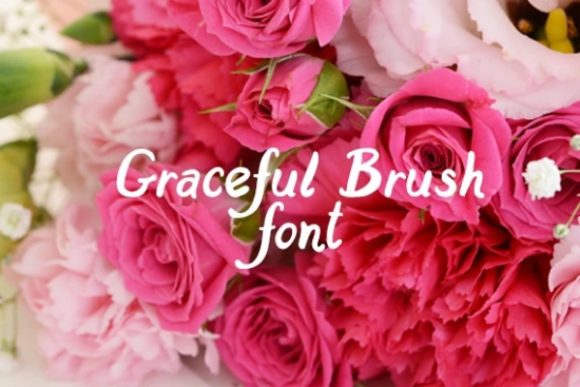 Graceful Brush: A Font That Elevates Every Editorial Moment