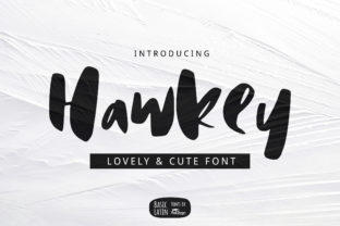 Hawkey Display Font Review